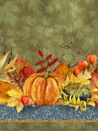 In The Beginning Fabrics "Our Autumn Friends" # 2OAF-2 – Autumn Stripe Border THUMBNAIL