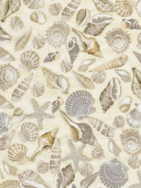 Timeless Treasures # BEACH-C5353 – Shells THUMBNAIL