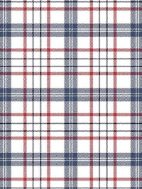 Riley Blake "American Beauty" # C14443-Navy – Plaid cotton fabric THUMBNAIL