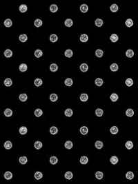 Riley Blake "Press On" Ironing Board C15263-BLACK THUMBNAIL