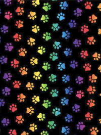 Timeless Treasures # CAT-C8586-Black – Colorful Paw Prints on Black THUMBNAIL