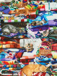 Timeless Treasures "Cats & Dogs" # Cat-CD6878-Multi - Cats on Quilts THUMBNAIL