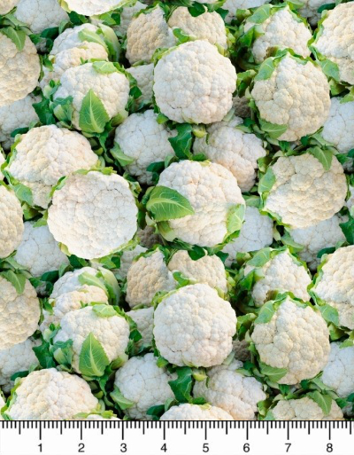 Windham "A La Carte" # 51899D-X – Cauliflower MAIN