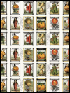 Riley Blake "Pumpkin Patch" Seed Packets CD14576-White SWATCH
