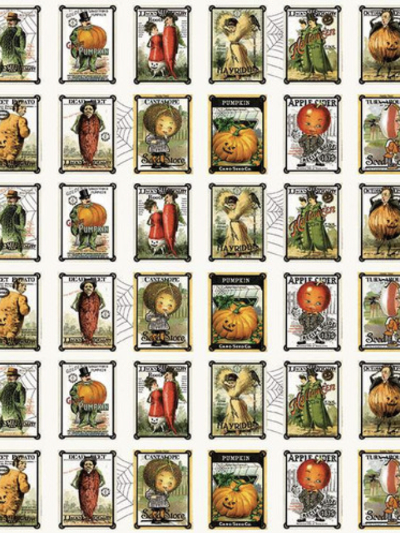 Riley Blake "Pumpkin Patch" Seed Packets CD14576-White MAIN