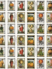 Riley Blake "Pumpkin Patch" Seed Packets CD14576-White THUMBNAIL