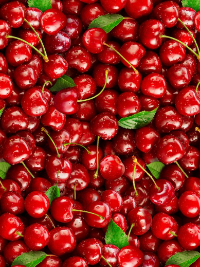 Elizabeth's Studio "Food Festival" # 577-RED – Cherries THUMBNAIL