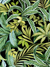 Michael Miller "Exotica" # DCX10275-BLAC-D – Jungle Foliage THUMBNAIL