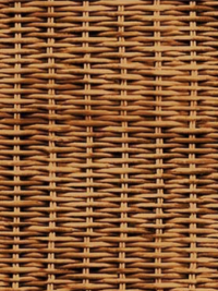 Michael Miller "Early to Rise"  Wicker Work DCX12072-TOAS-D THUMBNAIL