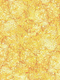 Northcott "Bliss Basics" # DP23887-52 – Sunshine THUMBNAIL