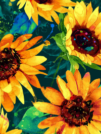 Timeless Treasures "Sundance" Sunflowers FLORA-CD3301 HUNTER THUMBNAIL