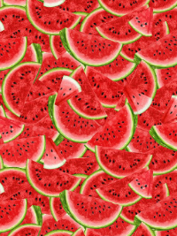 Timeless Treasures "Watermelon Party" # FRUIT-CD1922-MULTI – Packed Watermelon Slices THUMBNAIL