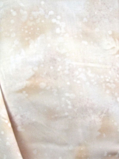 Benartex - Glazed Peach Fossil Fern (42) MAIN
