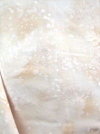 Benartex - Glazed Peach Fossil Fern (42) THUMBNAIL