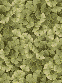 Timeless Treasures "Kyoto Garden" # KYOTO-CM1672-Green – Metallic Ginko THUMBNAIL