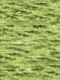 Northcott "Naturescapes" #21414-74 Green - Grass THUMBNAIL