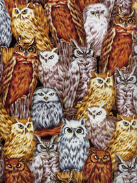 Fabri-Quilt, Inc. "Autumn in the Forest" #112-28121 - Owls THUMBNAIL