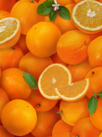 Elizabeth's Studio "Food Festival" # 261-ORANGE – Oranges THUMBNAIL