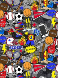 Print Concepts "Team Player" # PRC10300 – Assorted Sports Items and Electronics THUMBNAIL
