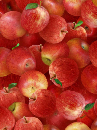 Elizabeth's Studio "Food Festival" # 260-RED – Apples THUMBNAIL
