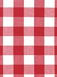 Moda "Picnic Basket Wovens" # 12134-11 — Red and White Gingham THUMBNAIL