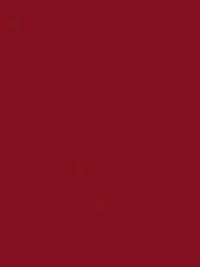 Free Spirit "Designer Essentials Solids"  # CSFSESS.RADIS – Radish THUMBNAIL