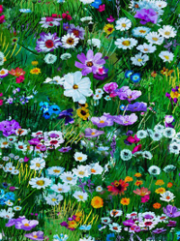 Hoffman "Into the Meadow" # T4925-170-Meadow – Meadow Flowers THUMBNAIL