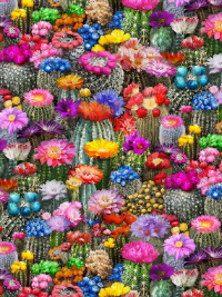 Timeless Treasures "Southwest Sunset" Multi Floral Desert Cactus WEST-CD2401 MULTI THUMBNAIL