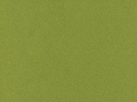 Felt Square – Pea Soup THUMBNAIL