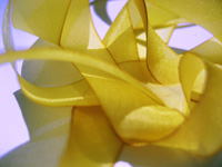 Hanah Hand-dyed Silk Ribbon, 7/16" — Dandelion THUMBNAIL