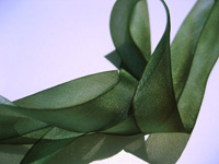 Hanah Hand-dyed Silk Ribbon, 1 1/2" — Earth Mother THUMBNAIL