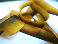 Hanah Hand-dyed Silk Ribbon, 7/16" — Falling Leaves THUMBNAIL