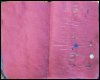 Sadie Seahorse Needle Book SWATCH