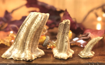 Pumpkin Stems – 3 sizes MAIN