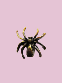 Susan Clarke - Brown Spider Embellishment THUMBNAIL