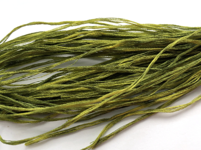 Silk Road Fibers Hand-dyed Straw Silk – 0490 Ogre MAIN