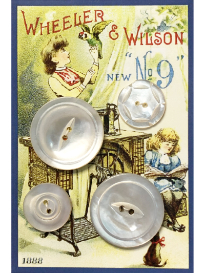 VINTAGE Mother of Pearl Round Buttons on "Wheeler & Wilson" Card MAIN