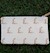Maria Coin Purse SWATCH
