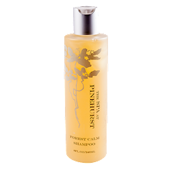 Forest Calm Shampoo THUMBNAIL