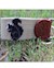 Smathers and Branson- Fox Squirrel Needlepoint key Fob SWATCH