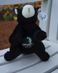 Fox Squirrel with Logo THUMBNAIL