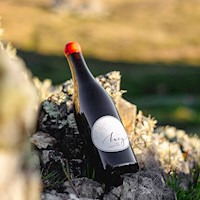 2022 Lucy Gamay Noir THUMBNAIL