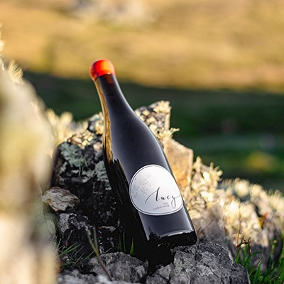 2024 Lucy Gamay Noir LARGE