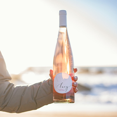 2025 Lucy Rosé of Pinot Noir SWATCH