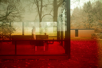 James Welling: Glass House 0696 THUMBNAIL
