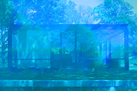 James Welling: Glass House 5905 THUMBNAIL