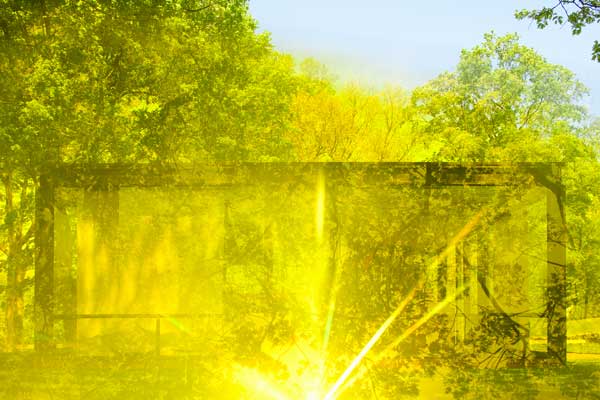 James Welling: Glass House 5912 MAIN