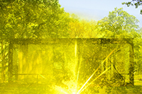 James Welling: Glass House 5912 THUMBNAIL
