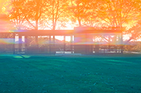 James Welling: Glass House 8167 THUMBNAIL