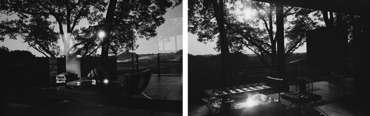 Mauro Restiffe: Glass House #8 and Glass House #9 Diptych THUMBNAIL